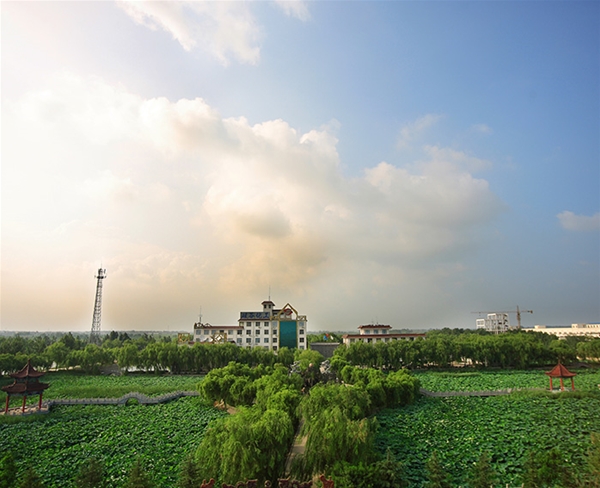 硅谷实景